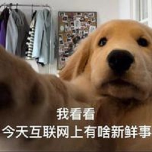 LinuxDo/QL-HelloWorld-xizhen55555